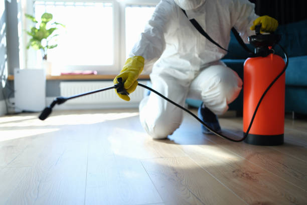Reliable Odor Removal contractor in Hobe Sound, FL by Dulley Family Biohazard Services
